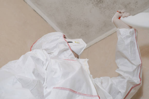 Best Mold Removal Specialists  in Woodcreek, TX