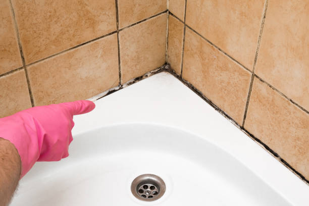 Best Local Mold Removal Service  in Woodcreek, TX